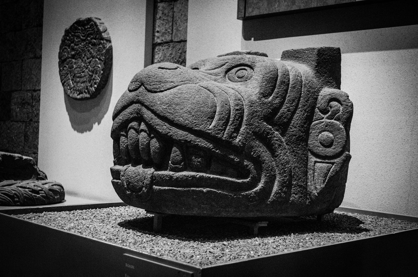 Anthropology Museum Tour: Explore Forgotten Cultures