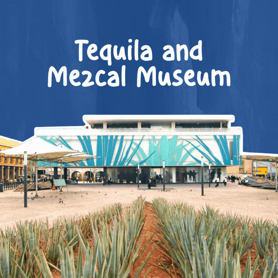 Tour to the Tequila and Mezcal Museum and tasting